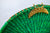 Sunev Couture - Green CanoeManye Straw handwoven clutch with Multi-Colour Edge and Moon Brass Clasp