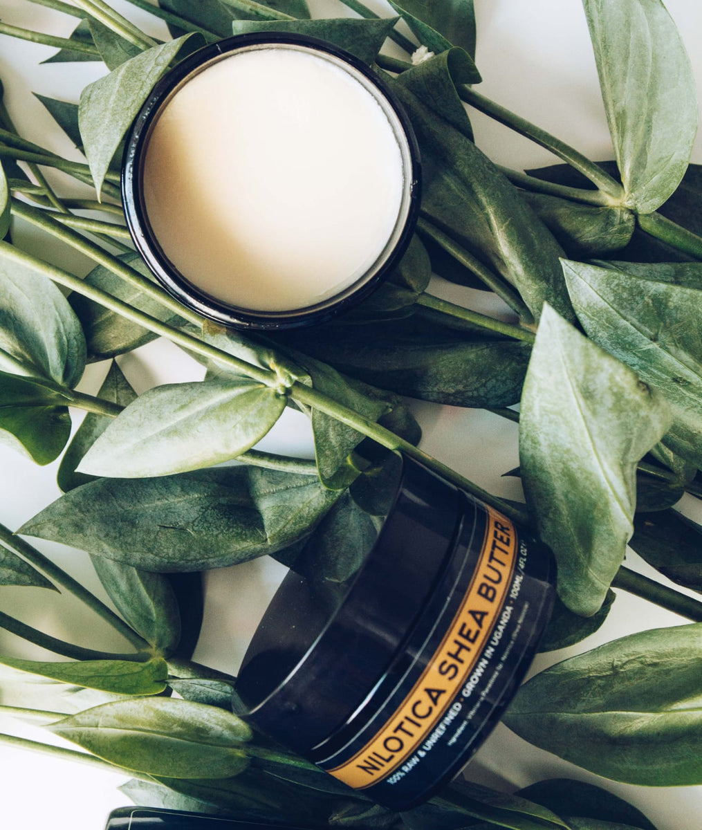 ATURA NATURALS - Nilotica Shea Butter – Black In Carnaby